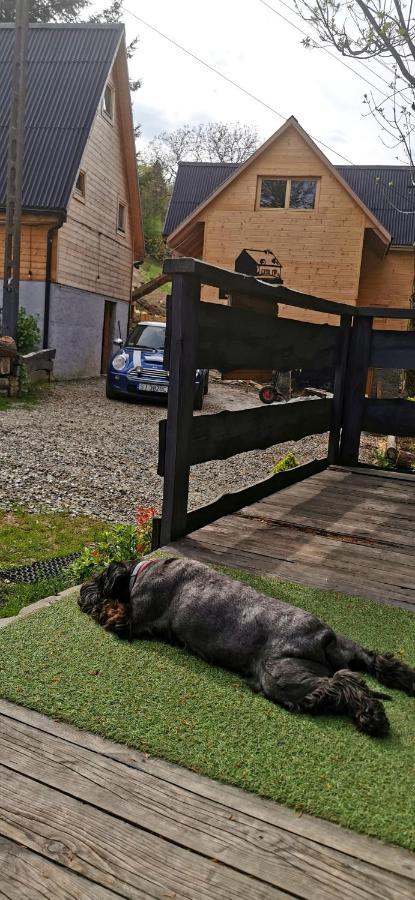 Lodge Osada Pod Beskidem- Chatki Caloroczne *