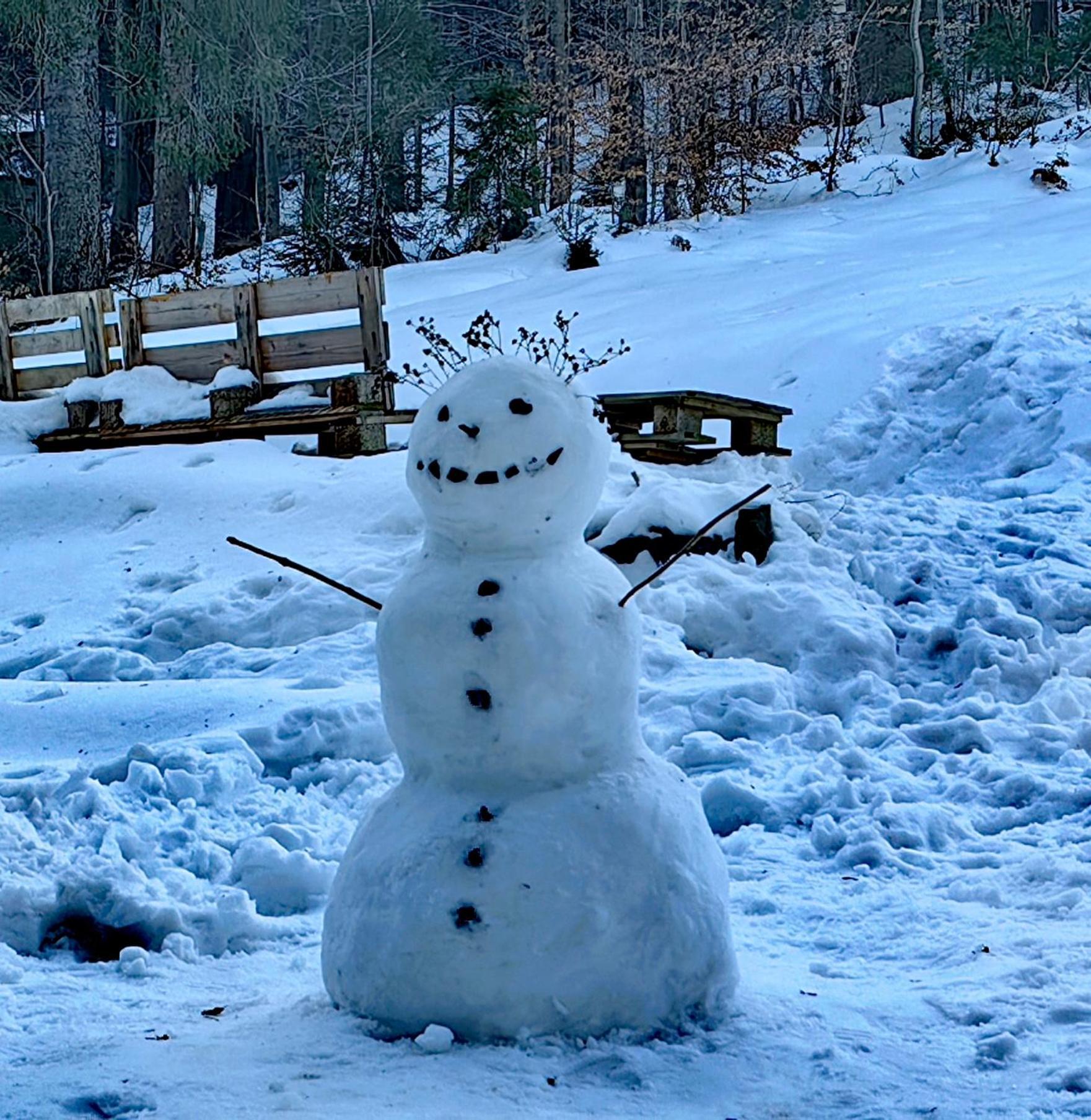 Lodge Osada Pod Beskidem- Chatki Caloroczne